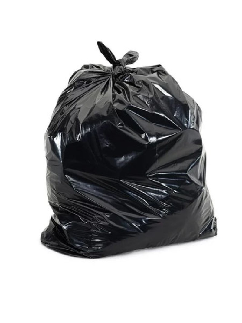 Garbage Bags, Black, Regular, 22 x 24- 500/Case